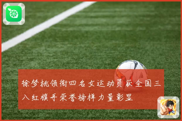 徐梦桃领衔四名女运动员获全国三八红旗手荣誉榜样力量彰显