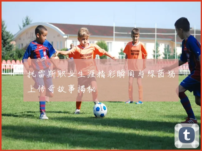 托雷斯职业生涯精彩瞬间与绿茵场上传奇故事揭秘
