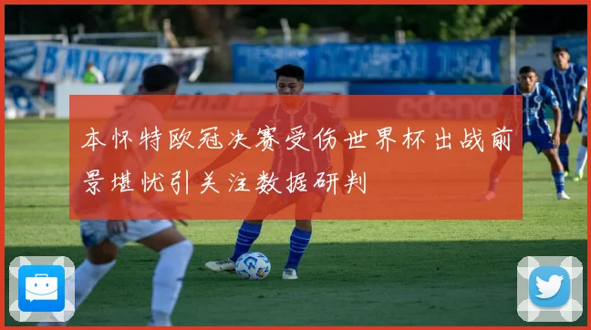 本怀特欧冠决赛受伤世界杯出战前景堪忧引关注数据研判