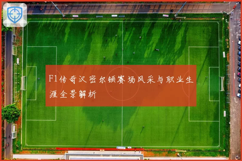 F1传奇汉密尔顿赛场风采与职业生涯全景解析