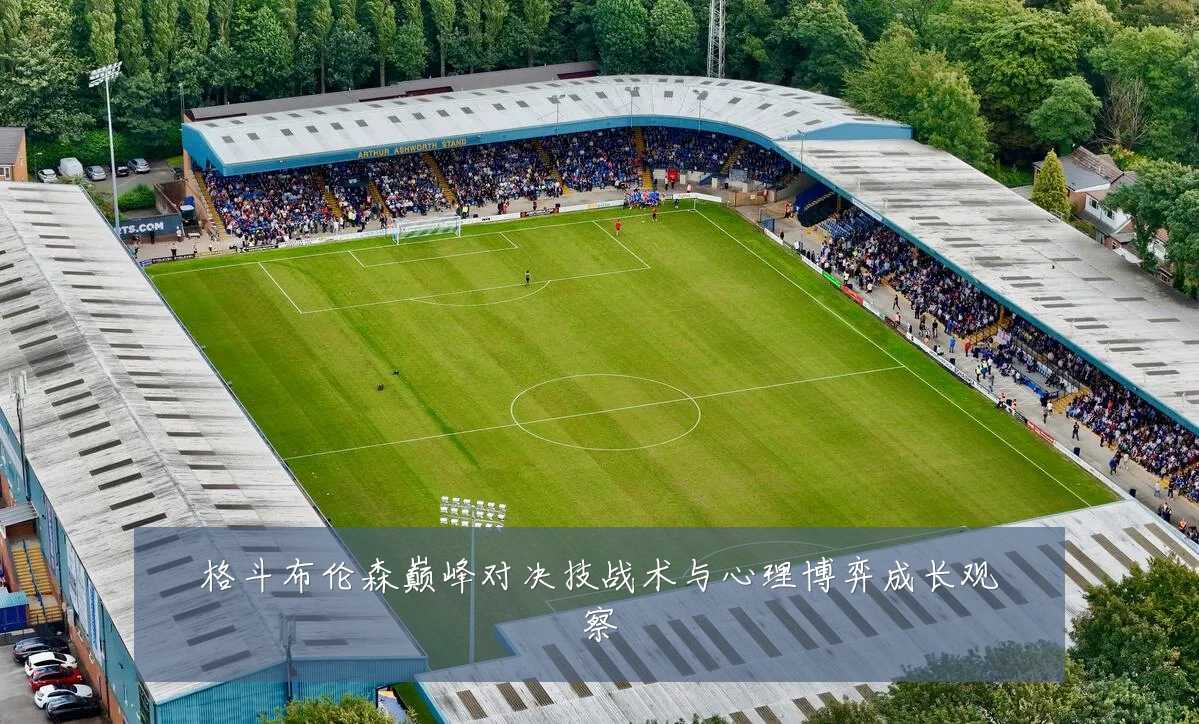 格斗布伦森巅峰对决技战术与心理博弈成长观察